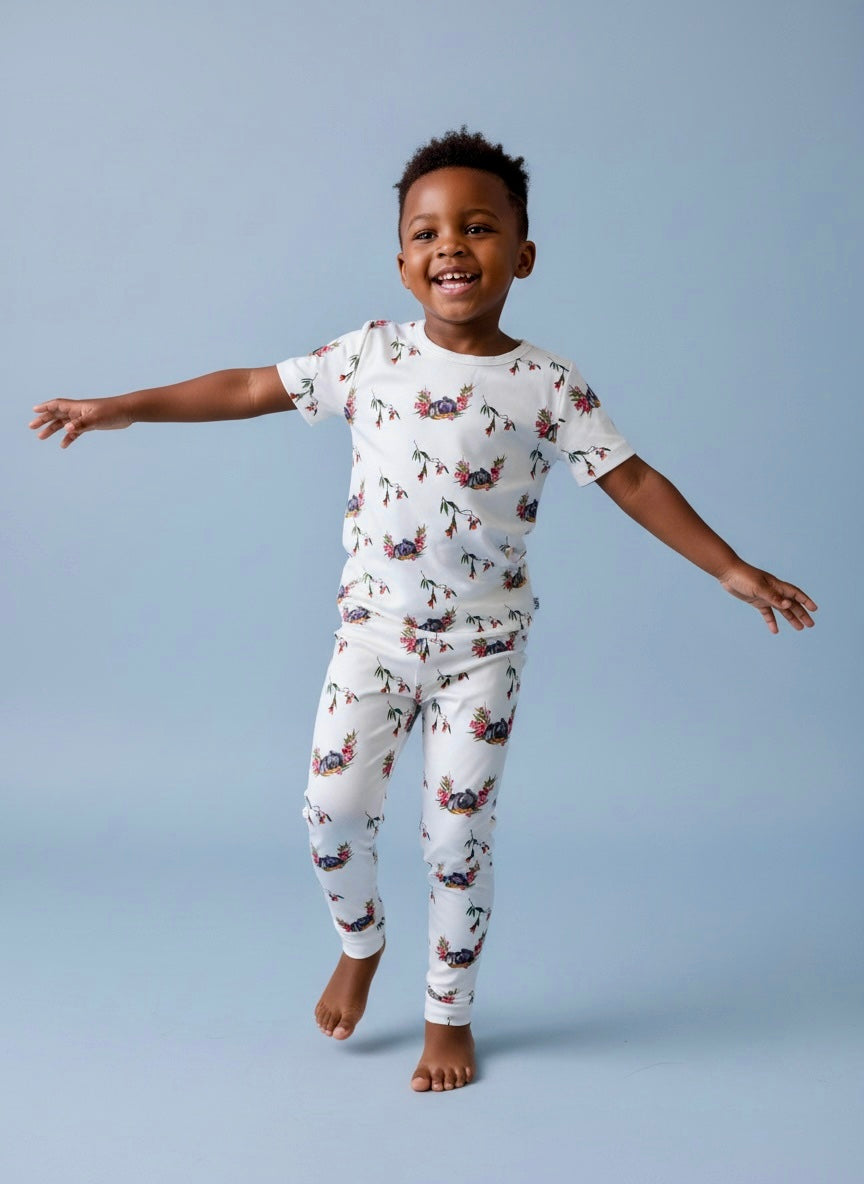 Toddler short sleeve 2-piece set.